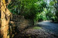 Acclimatization park sÃÂ£o paulo Brazil ÃÂ  wall and bricks asphalt